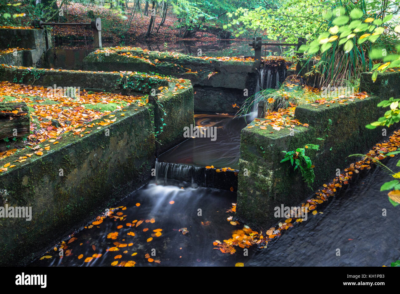 Chelwood vachary in the Ashdown Forest, Chelwood Gate, nr Uckfield