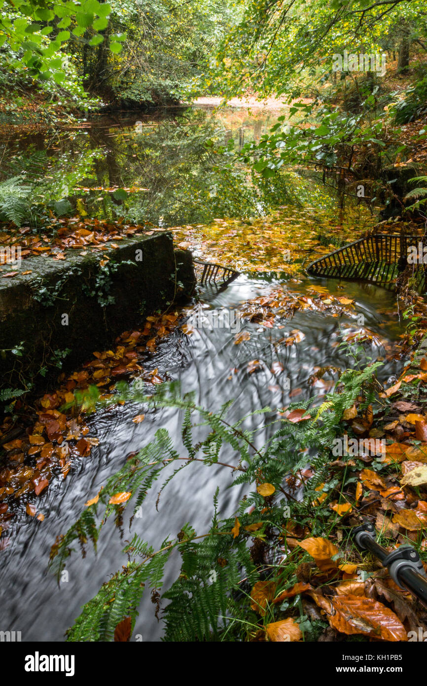 Chelwood vachary in the Ashdown Forest, Chelwood Gate, nr Uckfield