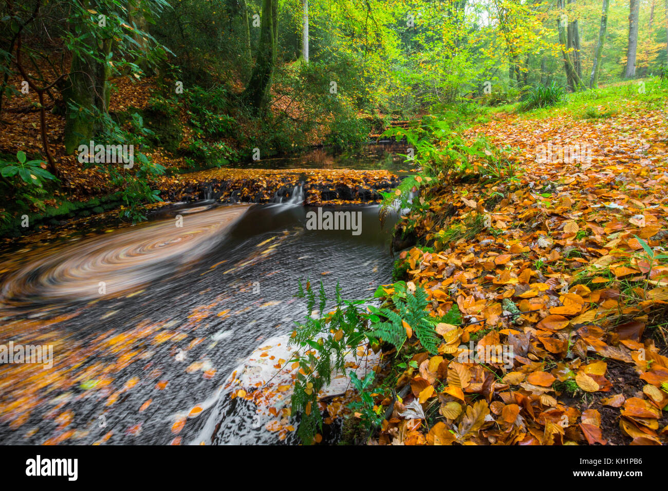 Chelwood vachary in the Ashdown Forest, Chelwood Gate, nr Uckfield