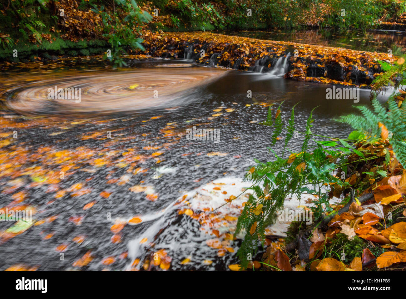 Chelwood vachary in the Ashdown Forest, Chelwood Gate, nr Uckfield
