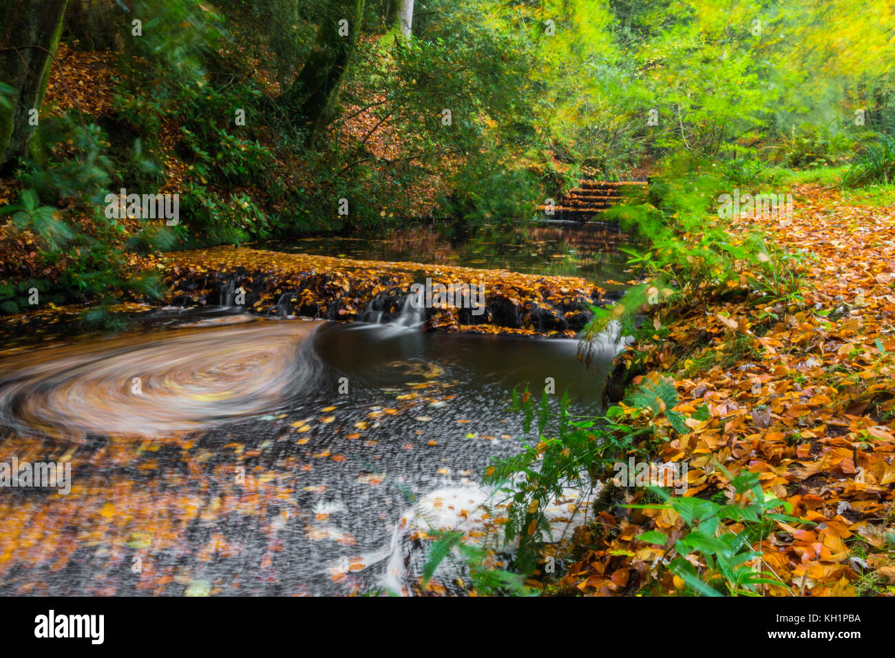 Chelwood vachary in the Ashdown Forest, Chelwood Gate, nr Uckfield