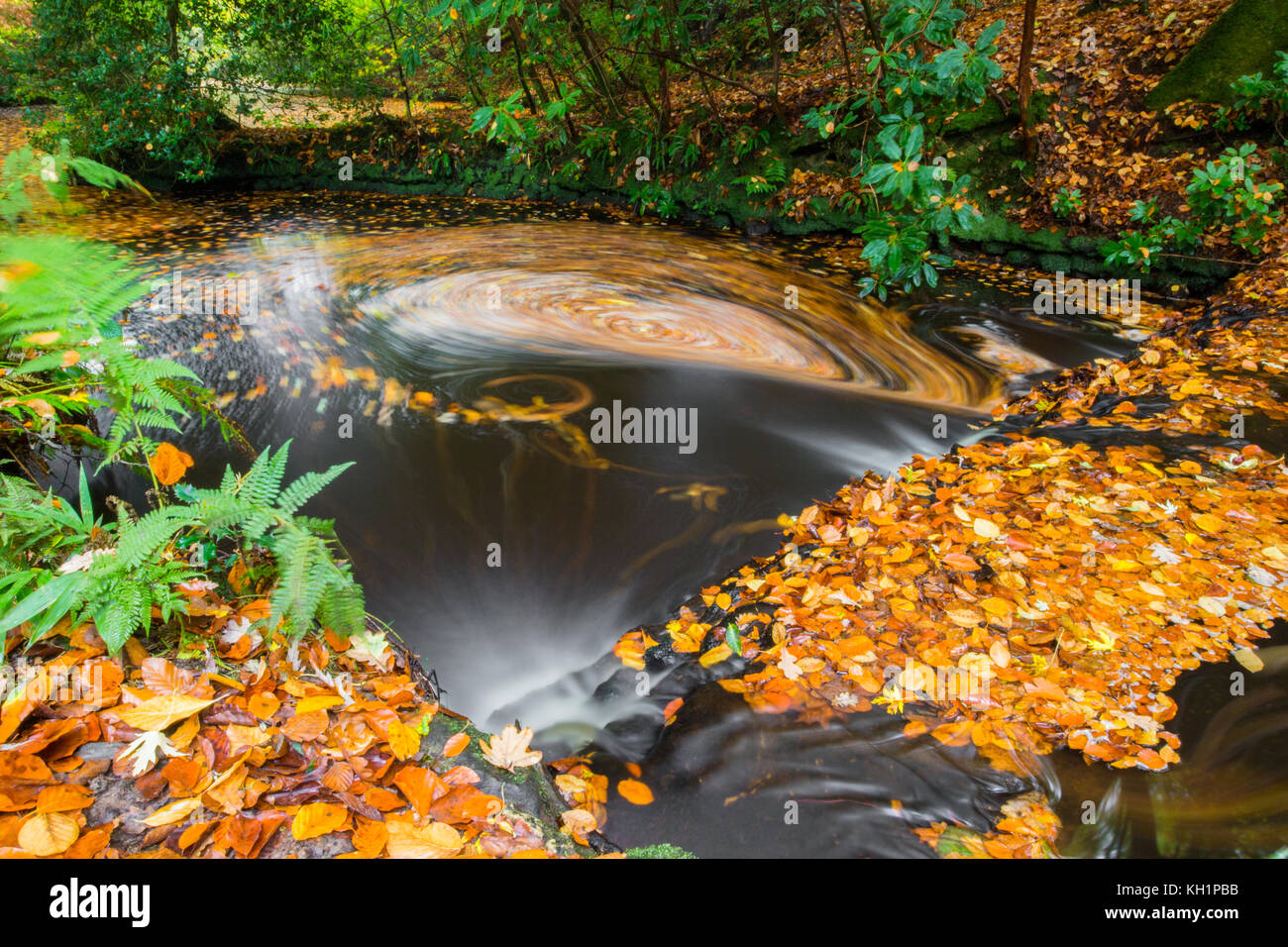 Chelwood vachary in the Ashdown Forest, Chelwood Gate, nr Uckfield