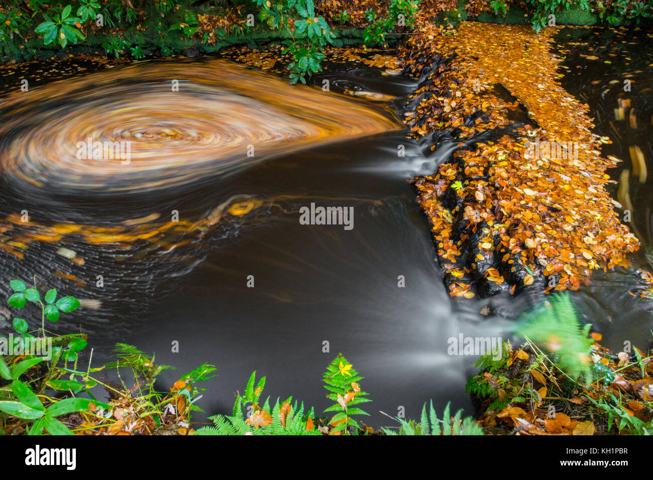 Chelwood vachary in the Ashdown Forest, Chelwood Gate, nr Uckfield