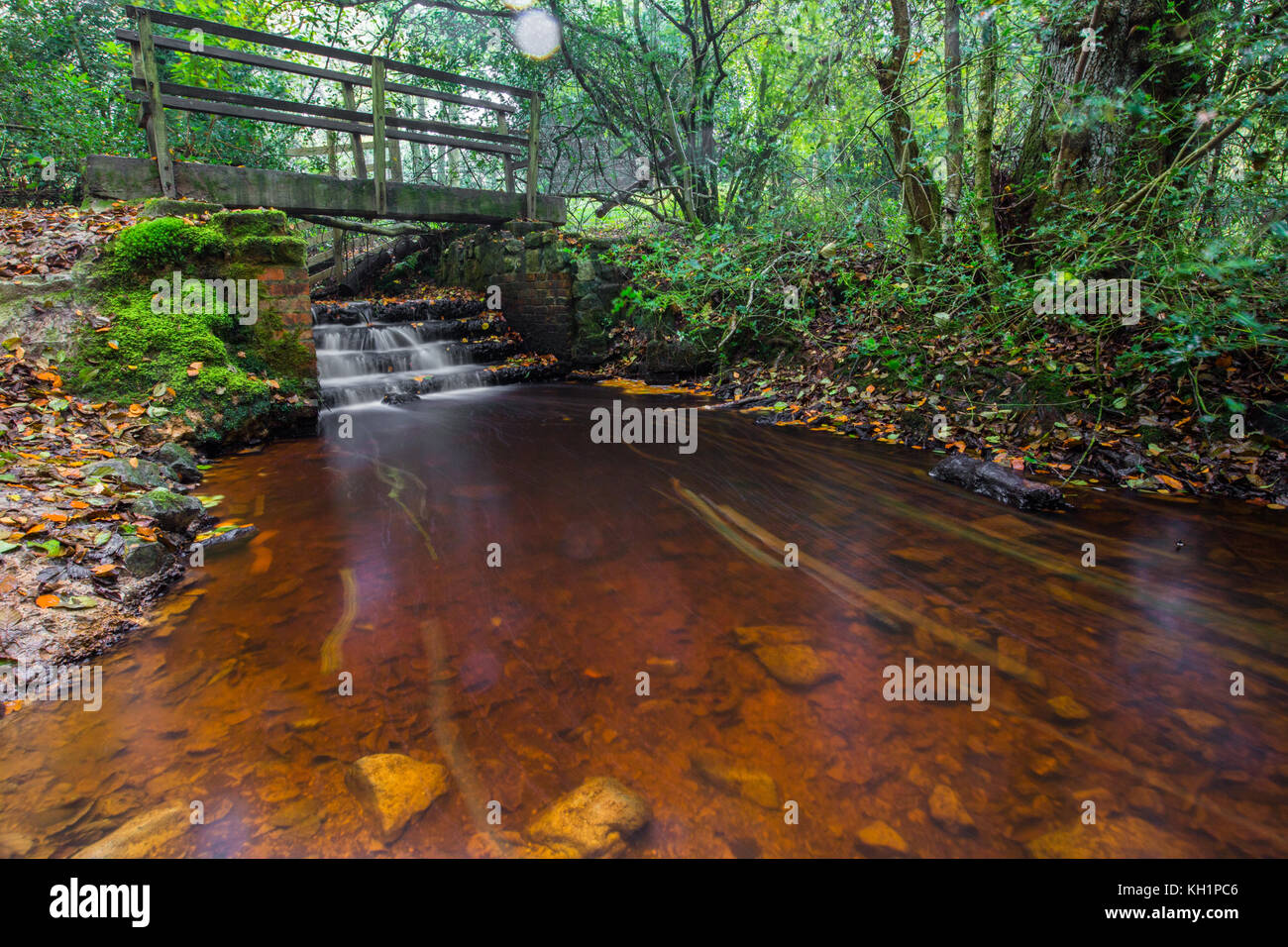 Chelwood vachary in the Ashdown Forest, Chelwood Gate, nr Uckfield