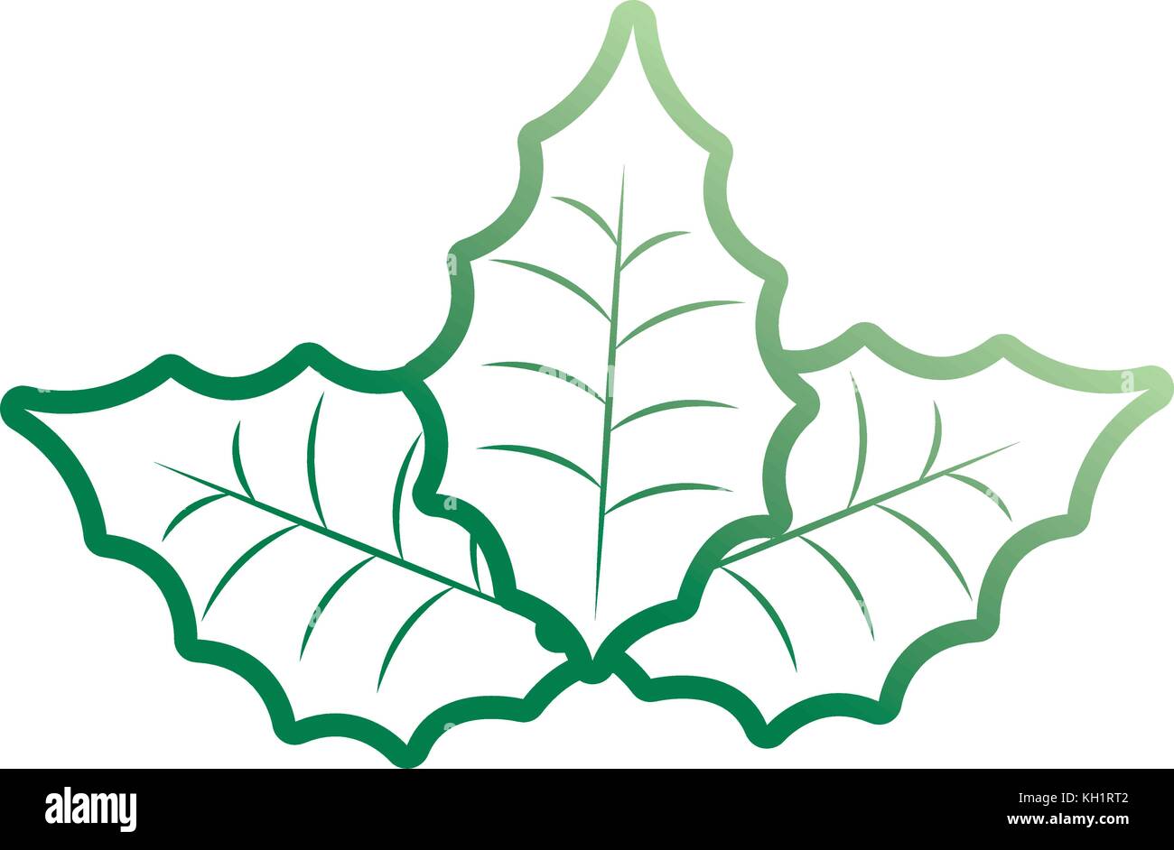 mistletoe icon image Stock Vector Image & Art - Alamy