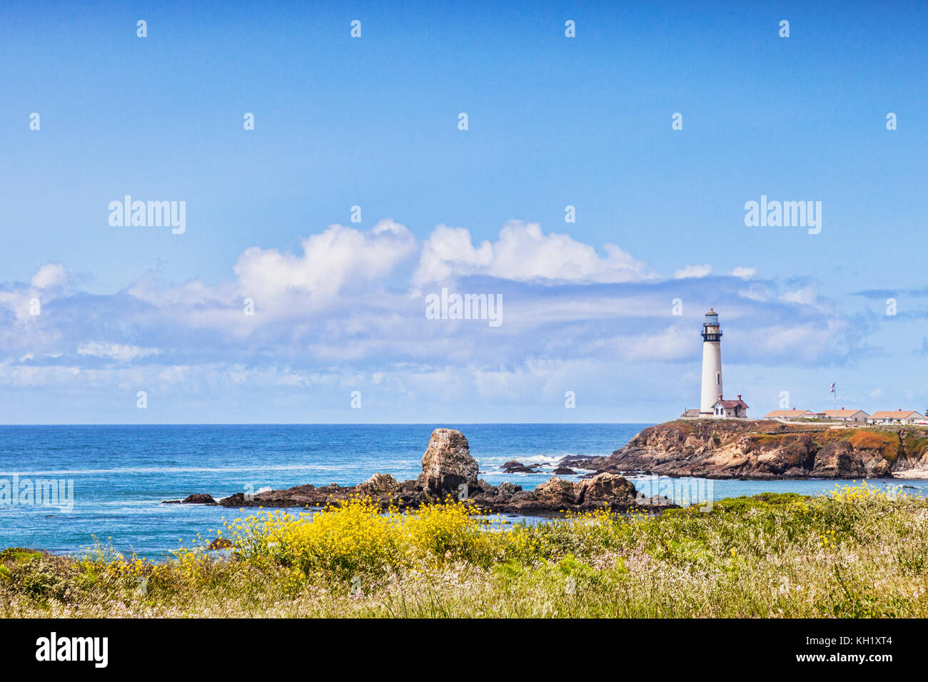 Spring flowers at Pigeon Point, California, USA. Stock Photo