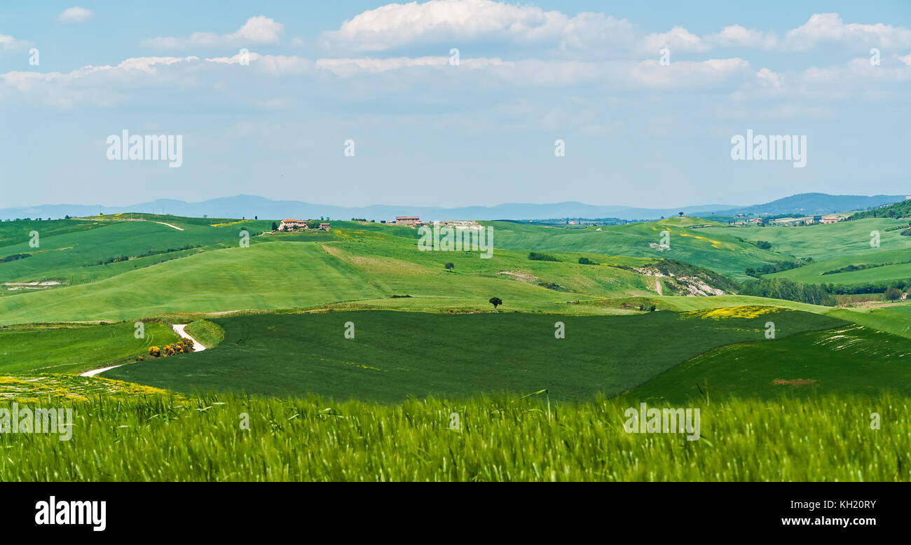 Typical Tuscany Landscape with Hills - Tuscany, Italy Stock Photo