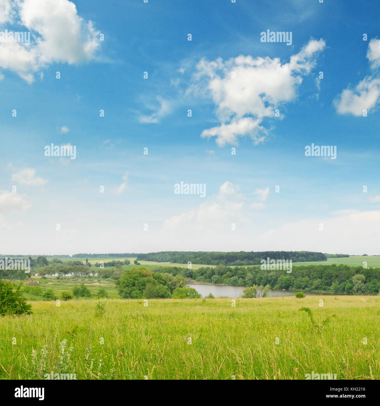 green wheat field and blue cloudy sky Stock Photo - Alamy
