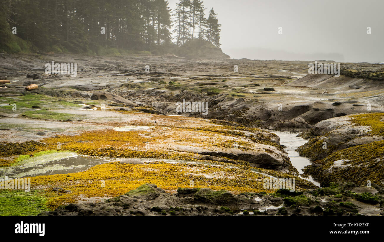 WEST COAST TRAIL BC visual data 5
