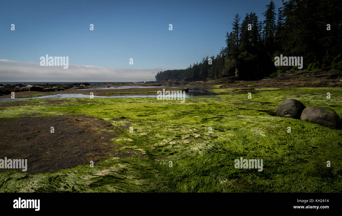 WEST COAST TRAIL MAP VANCOUVER ISLAND visual data 5