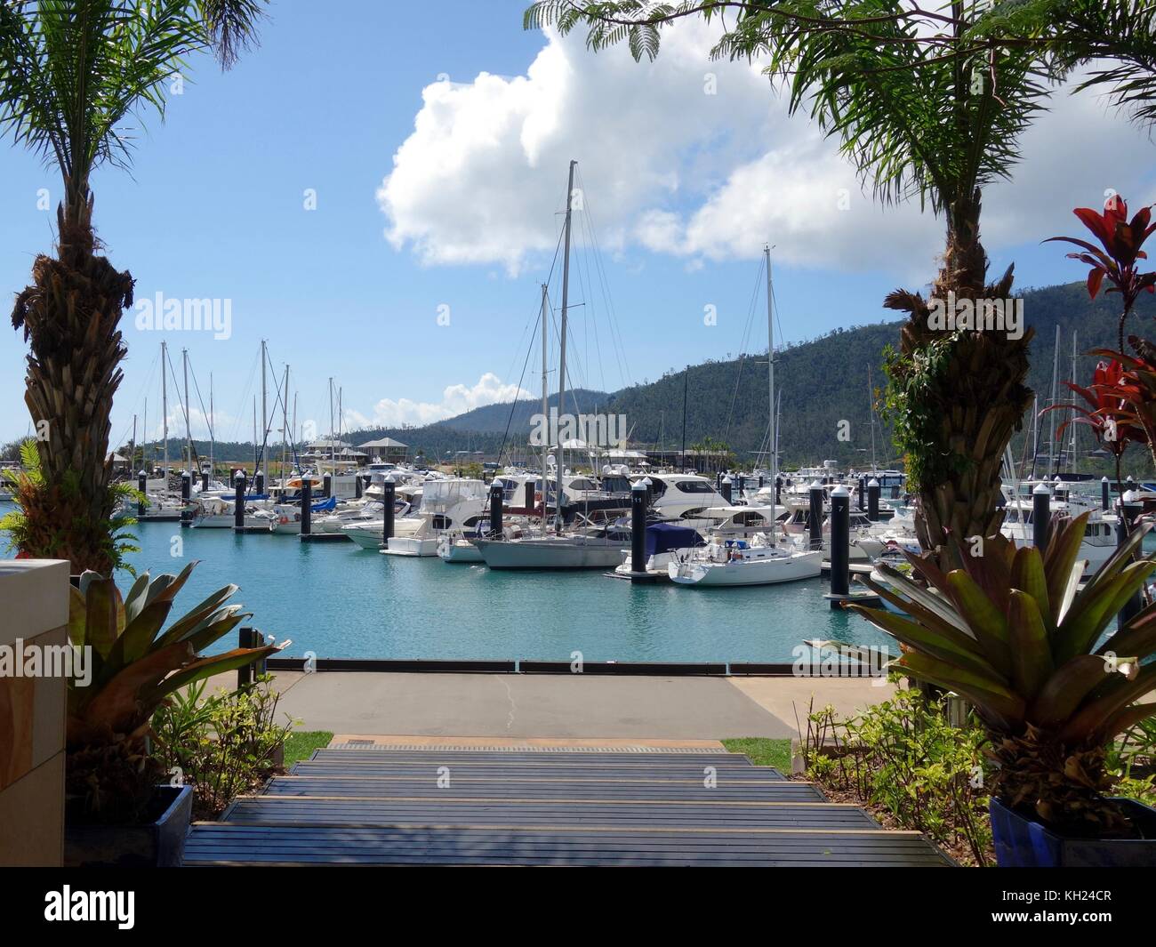 A view of boats in the Port of Airlie Marina Stock Photo Alamy