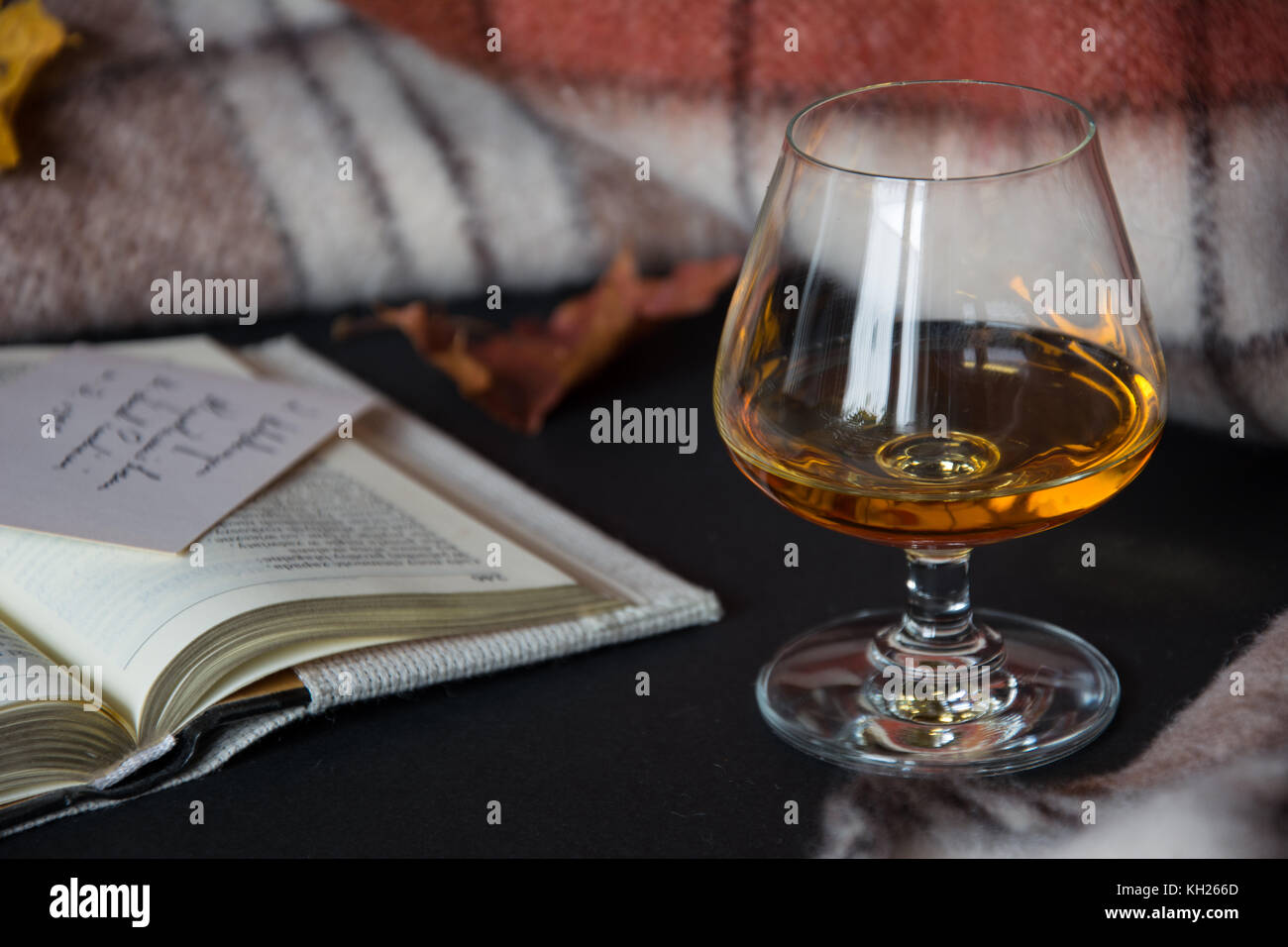 A glass of amber alcohol with an open book, dry leaf and warm blanket in background Stock Photo
