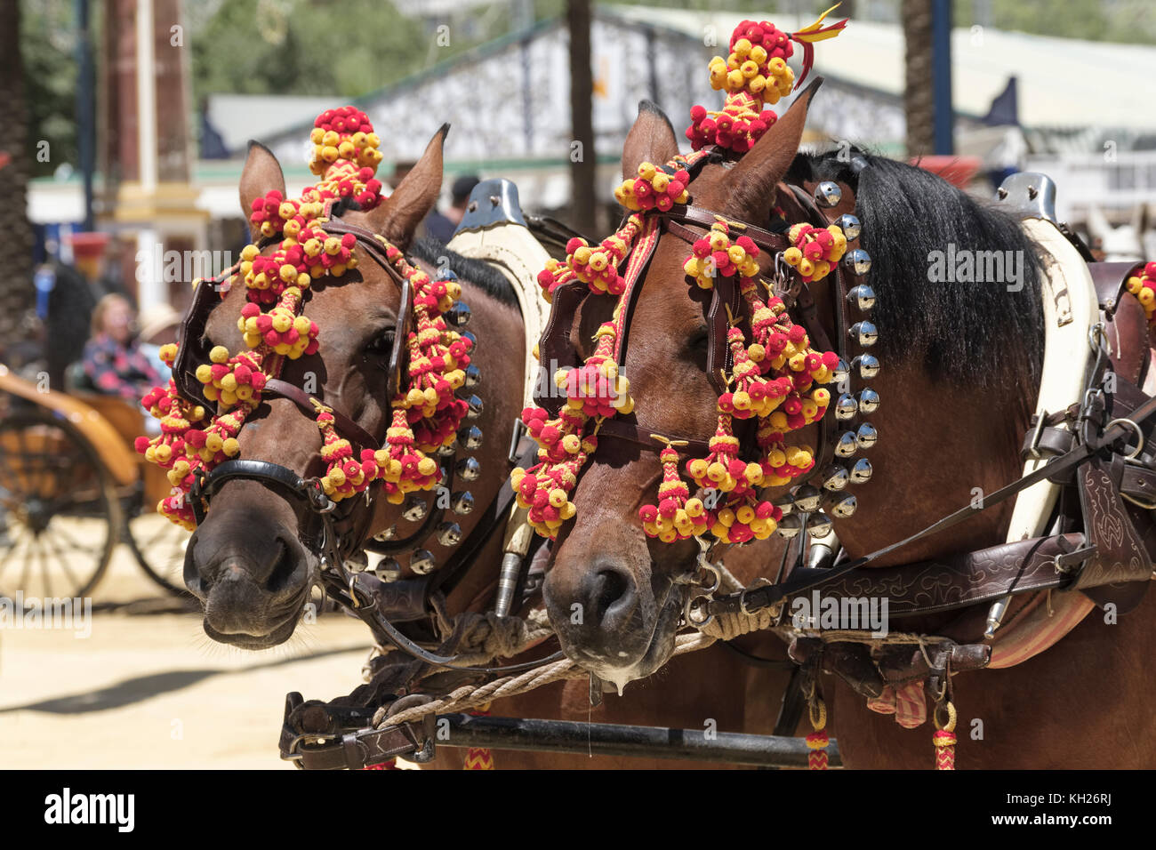 Decorated horses, Jerez de la Frontera, Feria de Caballo, May Horse
