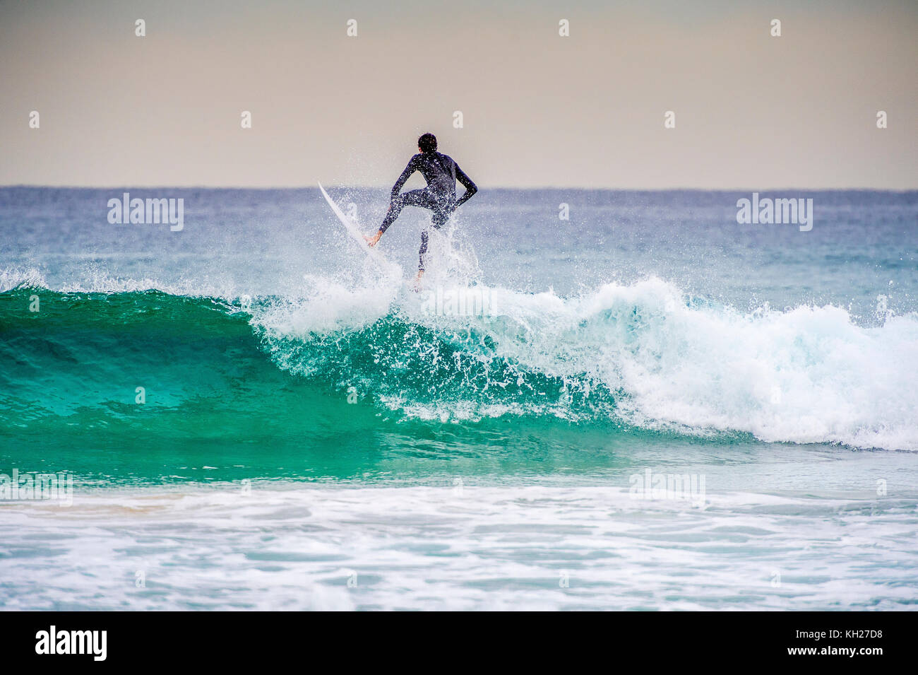 Surfing at Bondi Beach Stock Photo