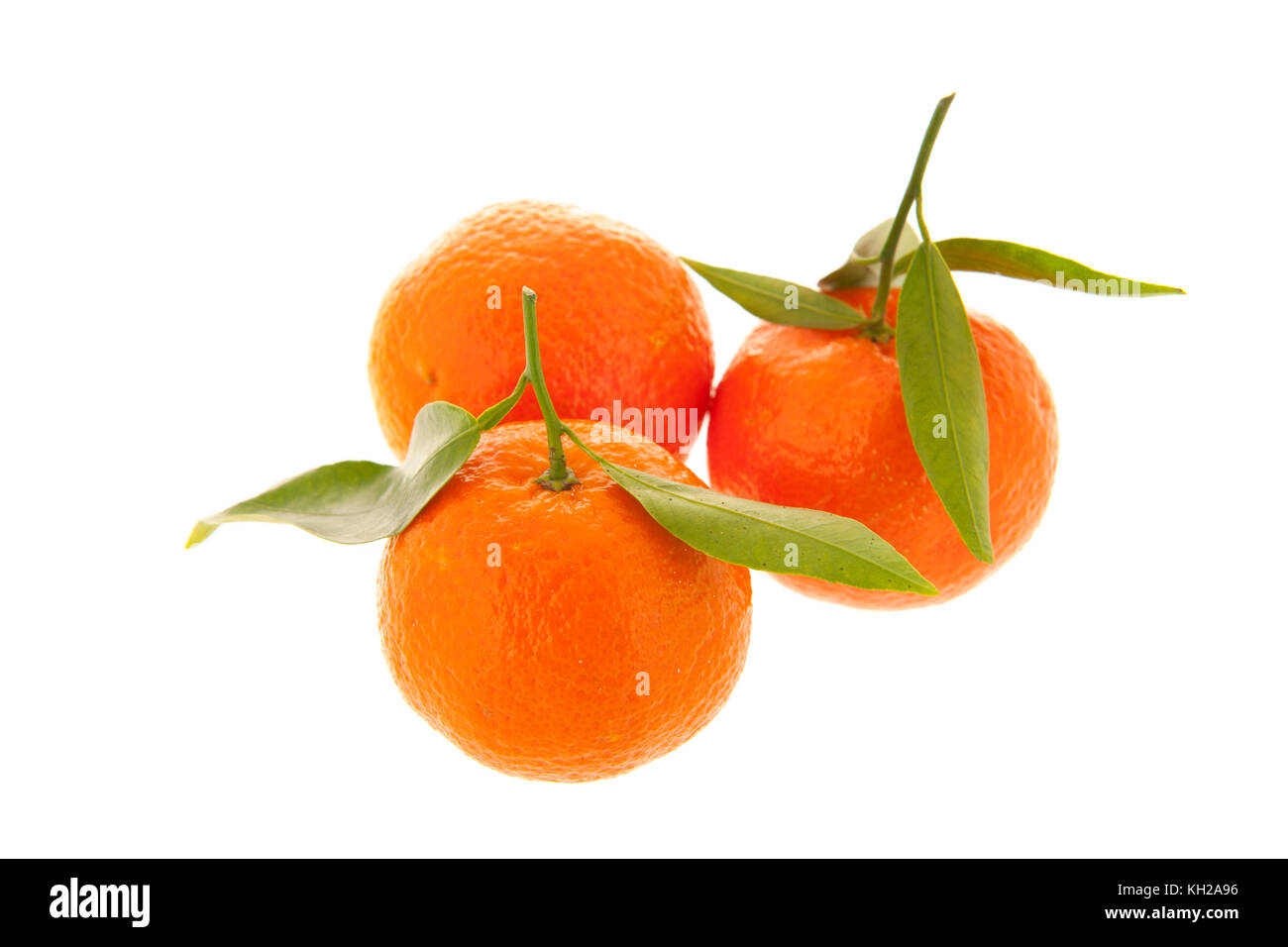 Tangerines with leafs isolated over white background Stock Photo Alamy