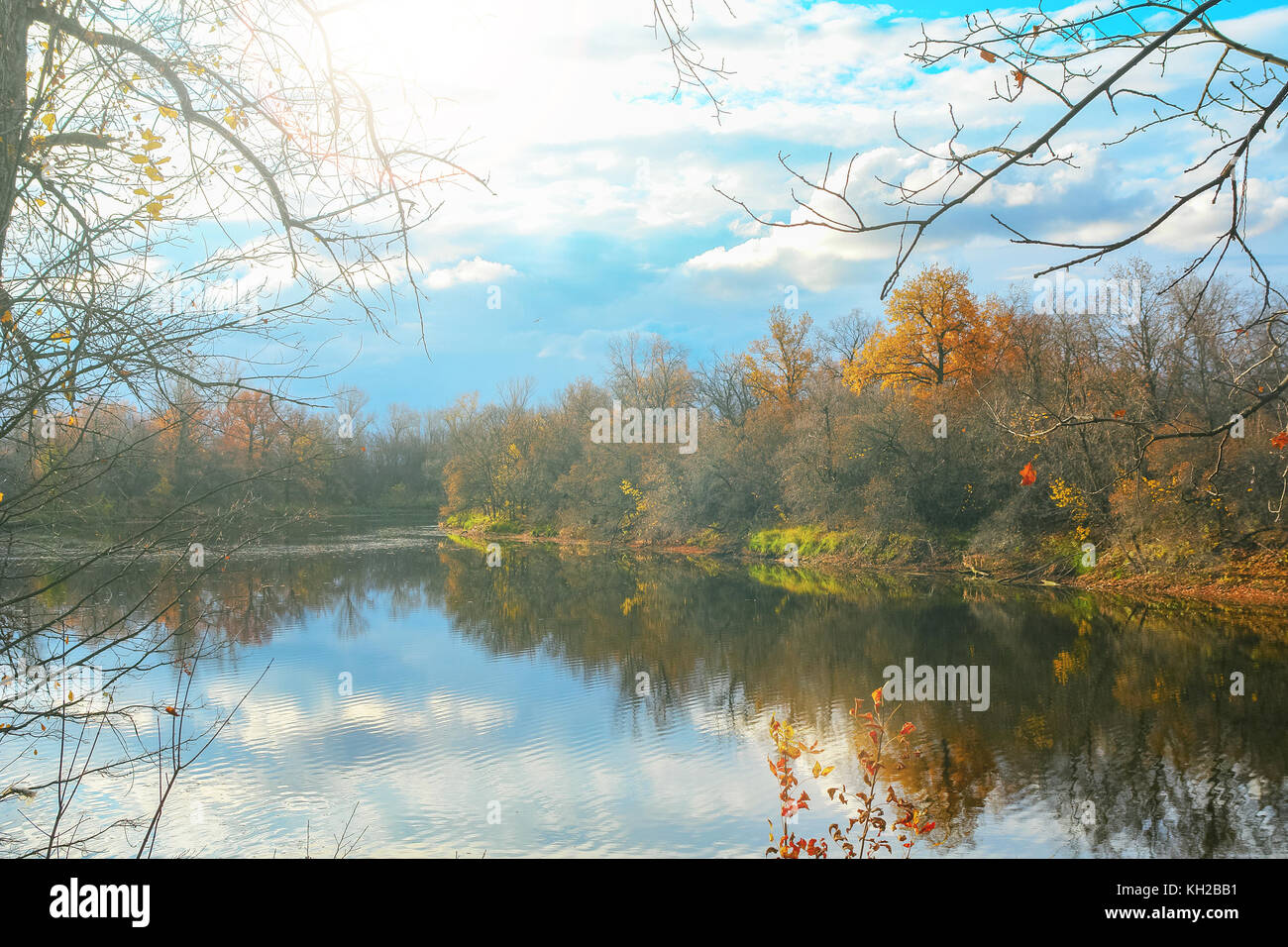 Forest lake in autumn forest Stock Photo - Alamy