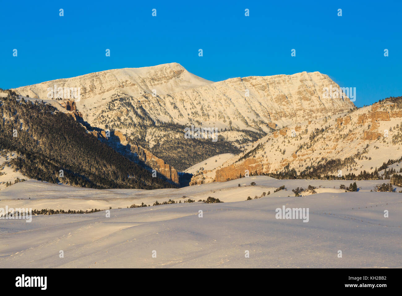 fairview mountain along the rocky mountain front in winter near augusta, montana Stock Photo