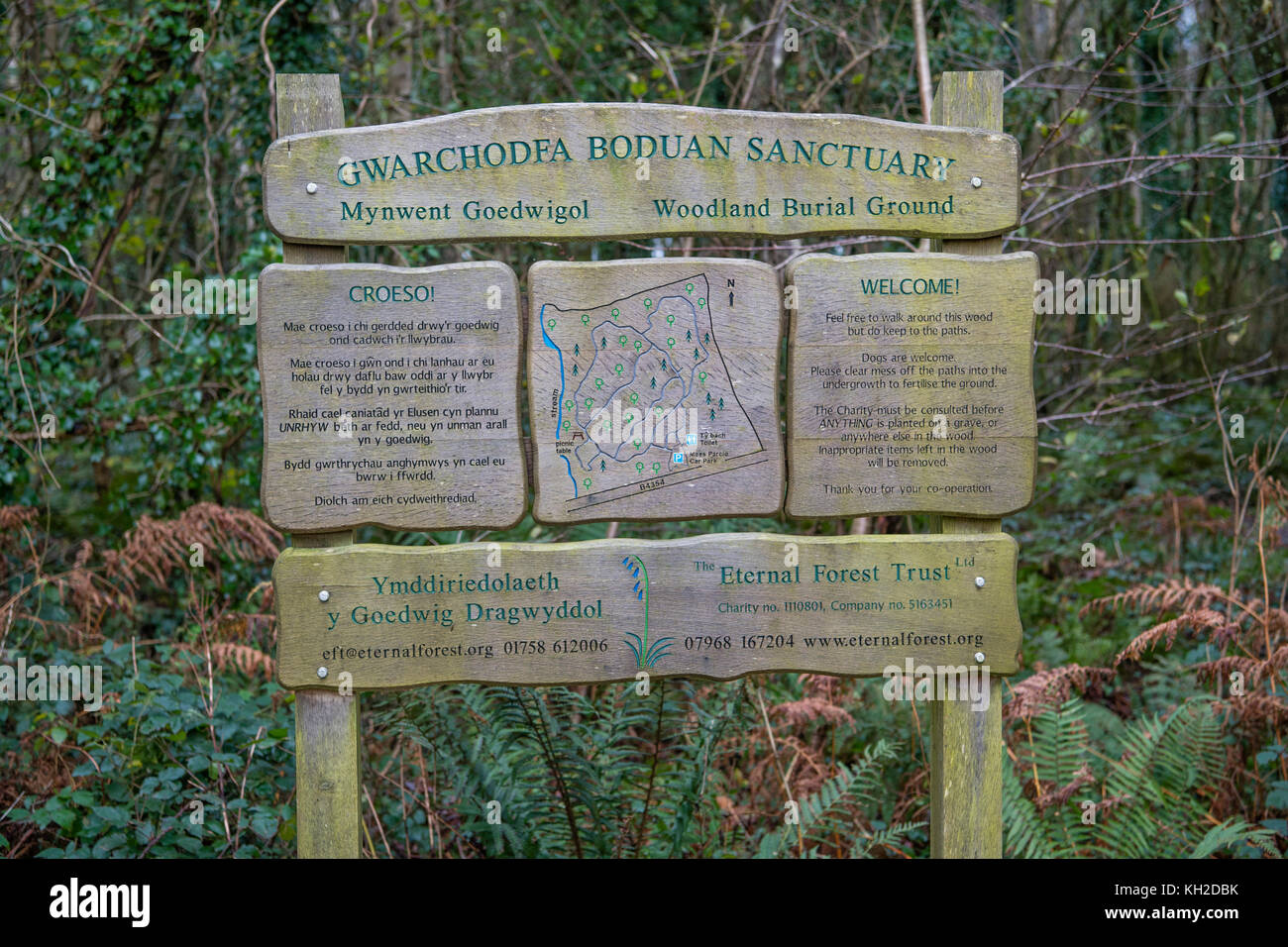 Woodland Burial Ground Stock Photos & Woodland Burial Ground Stock