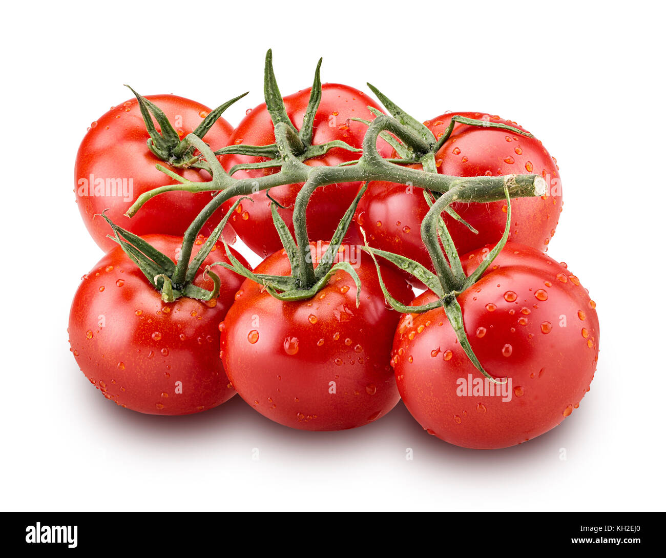 Big branch of fresh red tomato with green leaves with water drops isolated on white background Clipping Path Stock Photo