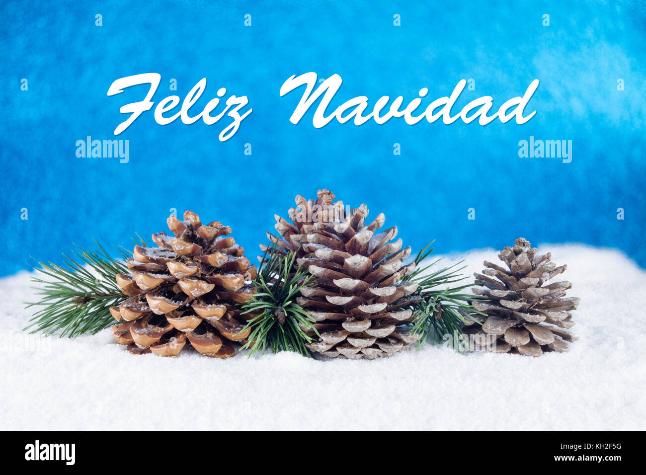 Group of pine trees and some branches with text in Spanish "Feliz