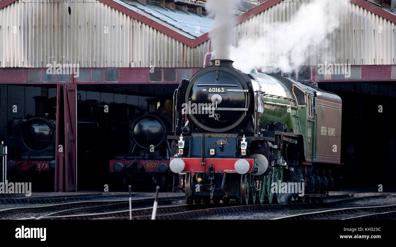 60163 Tornado a Peppercorn A1 Pacific Locomotive at Didcot Railway Centre, Oxfordshire, England, UK Stock Photo
