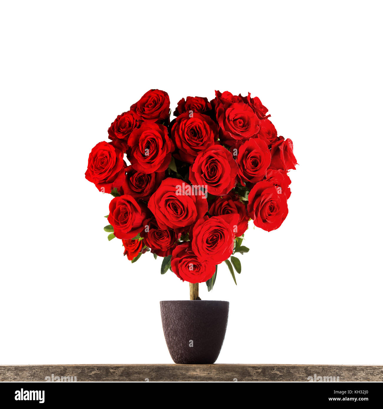 Heart shaped red roses on tree isolated on white background Stock Photo ...