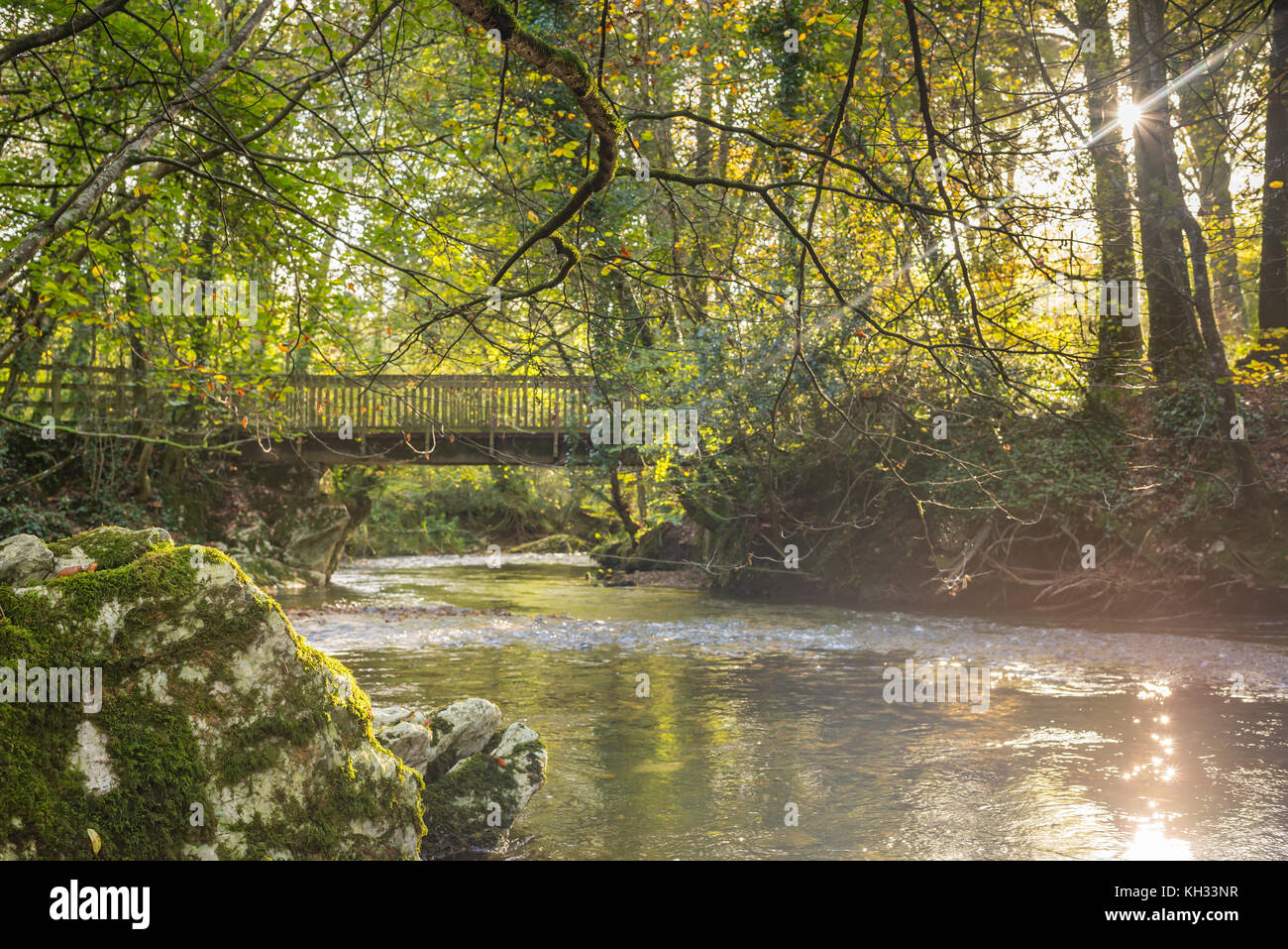 Sun rays trees water sky hi-res stock photography and images - Alamy