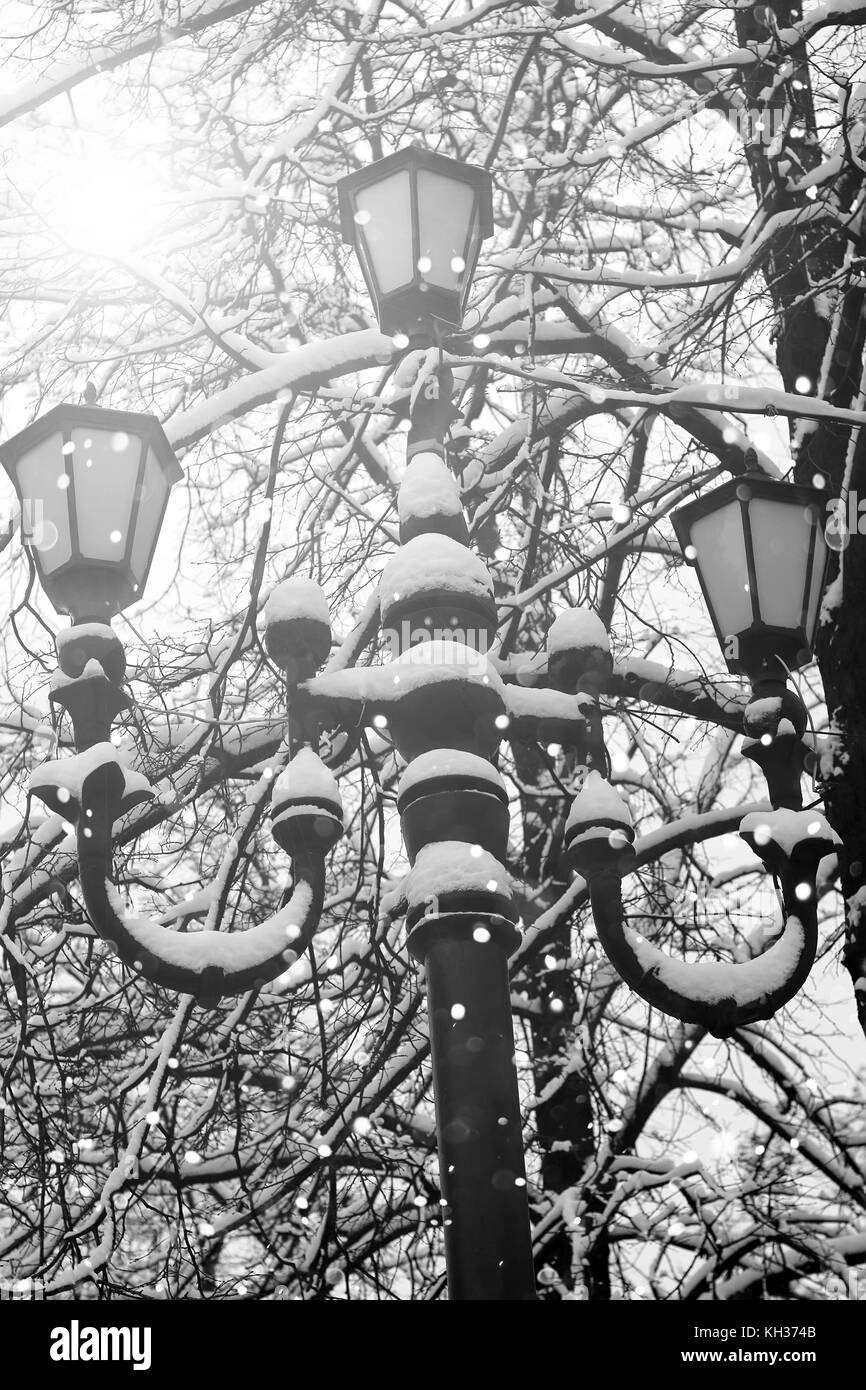 Ornate Lamp Post Black and White Stock Photos & Images - Alamy