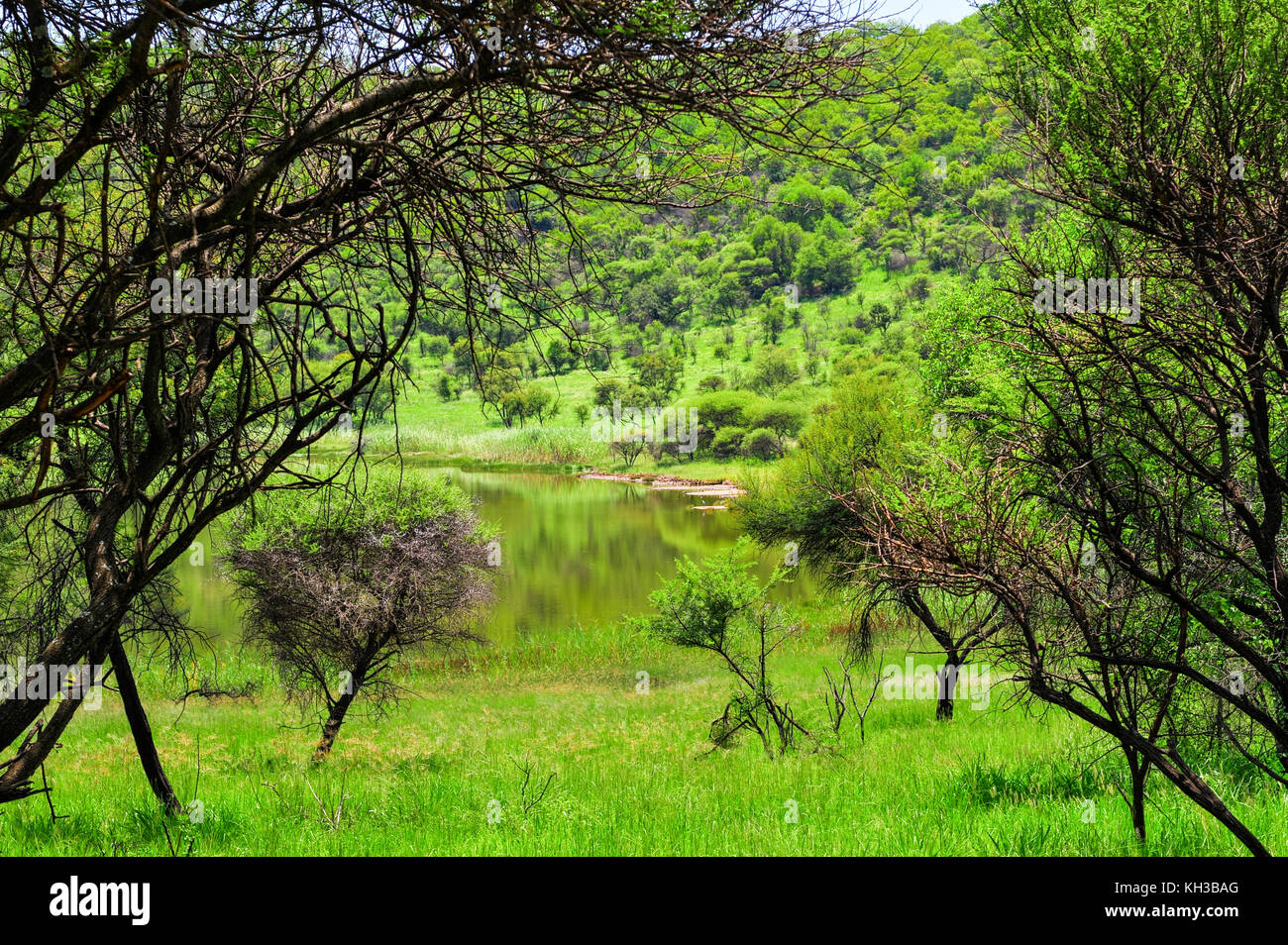 Tswaing Meteorite Crater Reserve. Lake & Vegetation Surrounding The ...