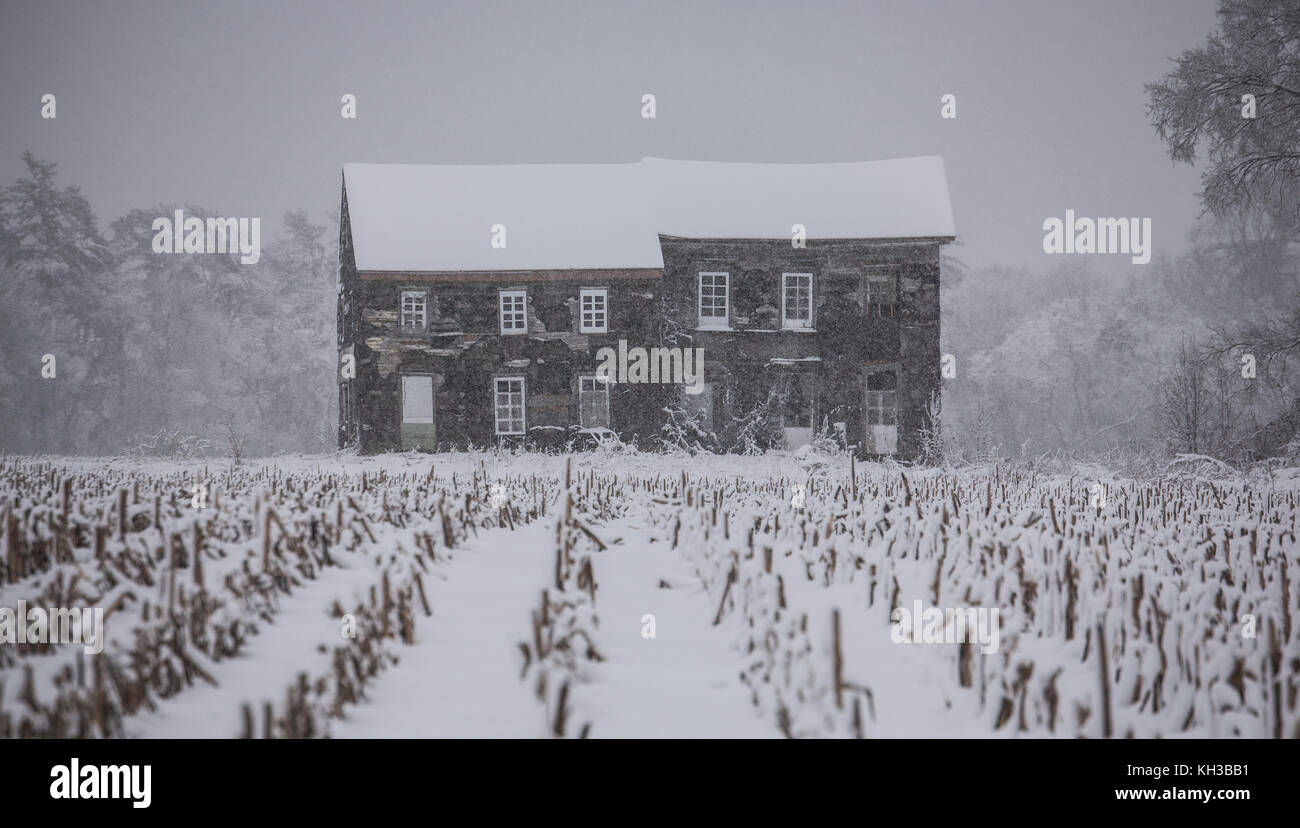 Abandoned historical old country farm house garden, winter snowy scene, Freehold Township, New