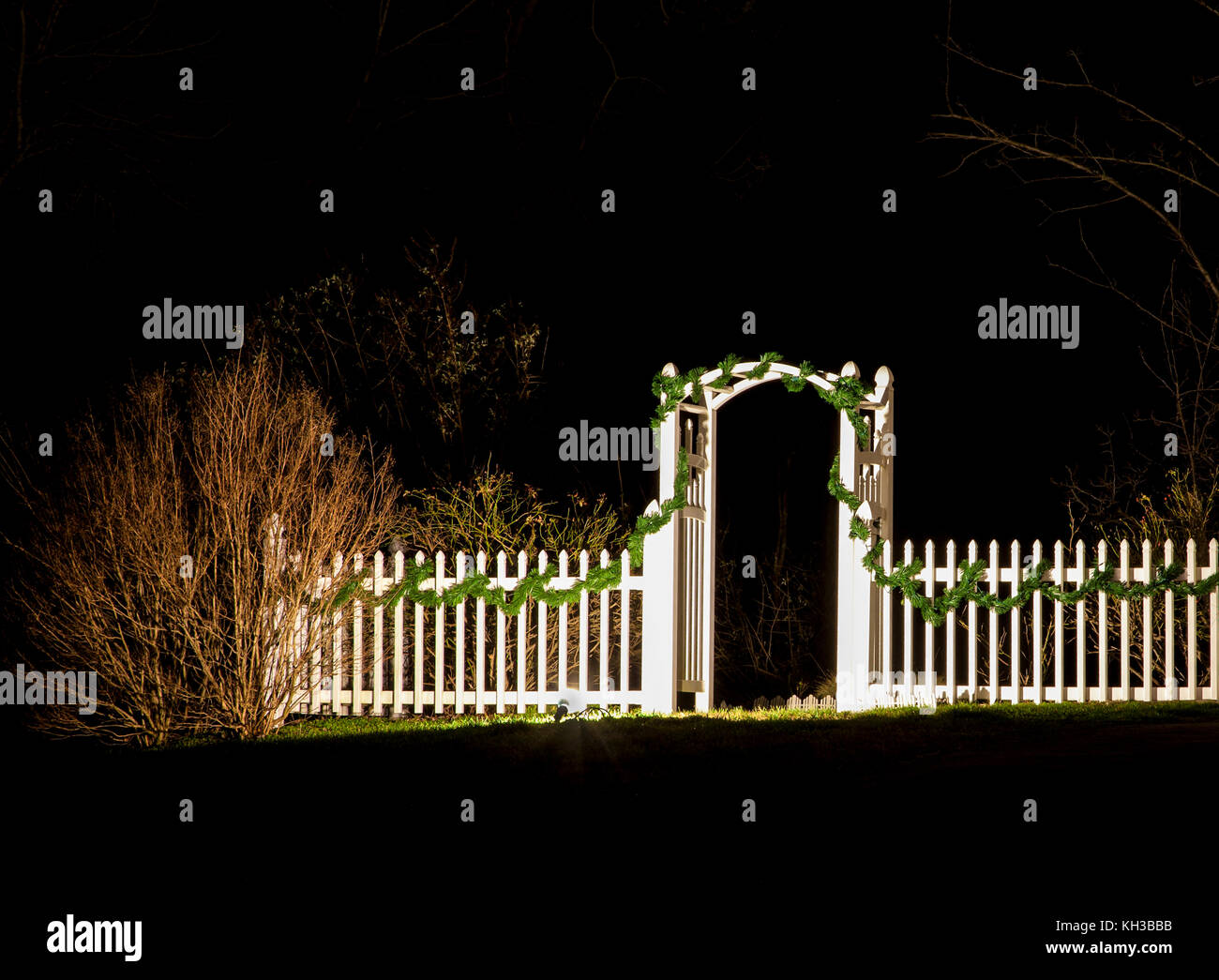 Arbor and gate pathway, white picket fence with Christmas garland at night, New Jersey, USA, Yule lights on vine arbor path archway garden arch Stock Photo