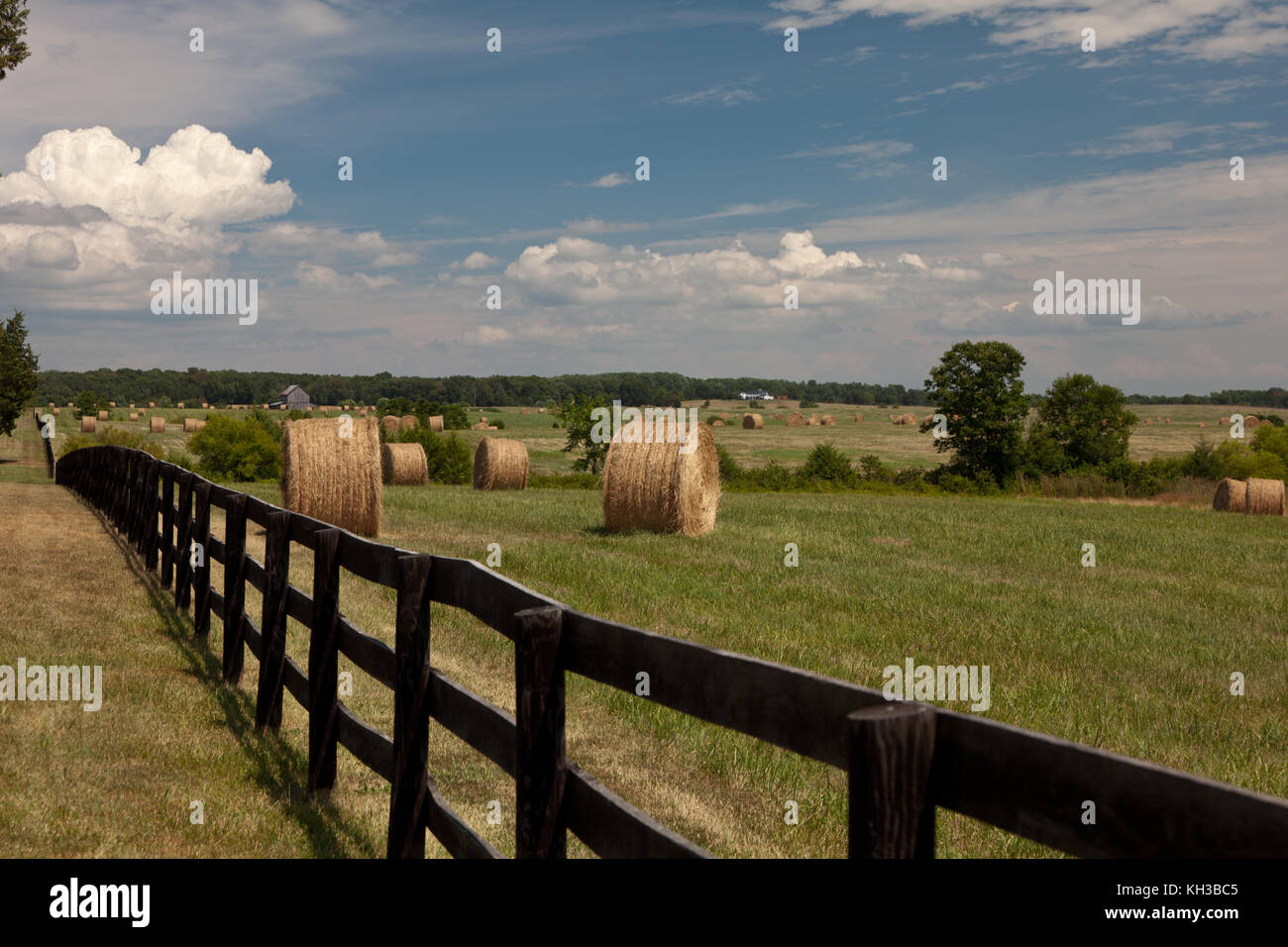 Hay bales in a field of green with blue skies Stock Photo - Alamy