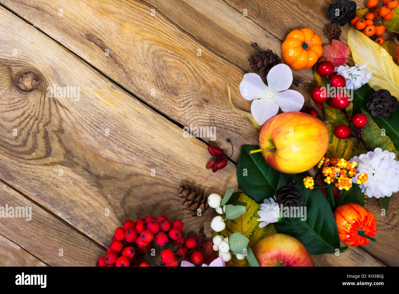 Thanksgiving or fall greeting background with pumpkins, apples, autumn leaves and white flowers arrangement on the rustic wooden table, copy space Stock Photo