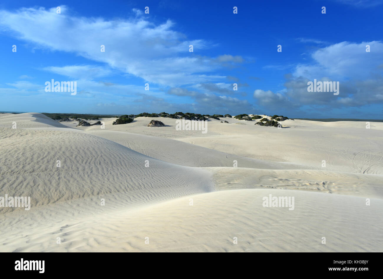 Perth Sand White sand dunes of Nilgen Nature Reserve. Located near Lancelin ...