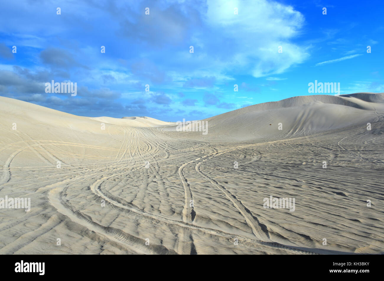 Perth Sand White sand dunes of Nilgen Nature Reserve. Located near Lancelin ...