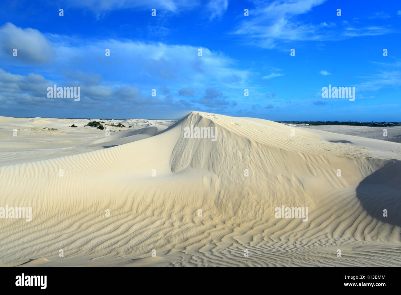 Perth Sand White sand dunes of Nilgen Nature Reserve. Located near Lancelin ...
