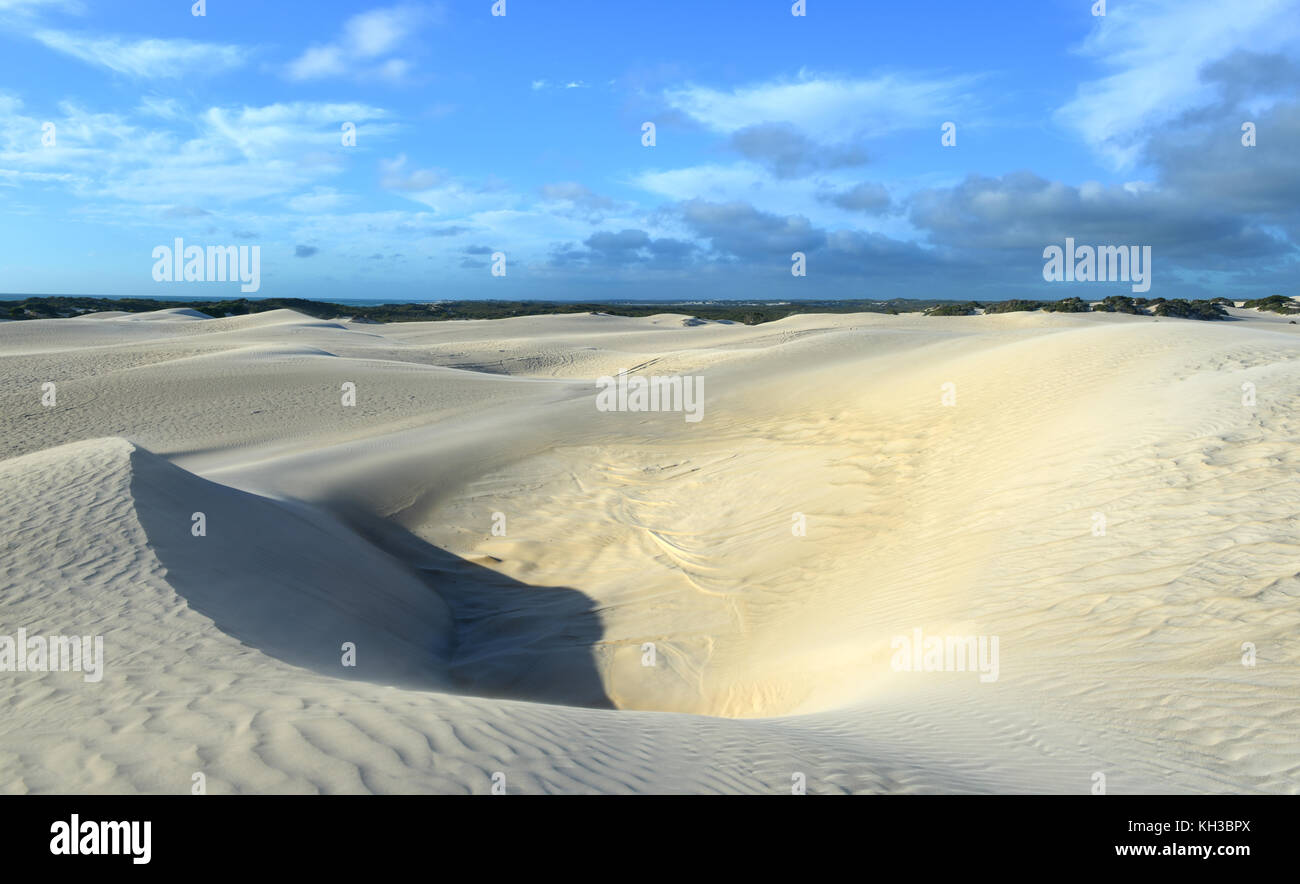 Perth Sand White sand dunes of Nilgen Nature Reserve. Located near Lancelin ...