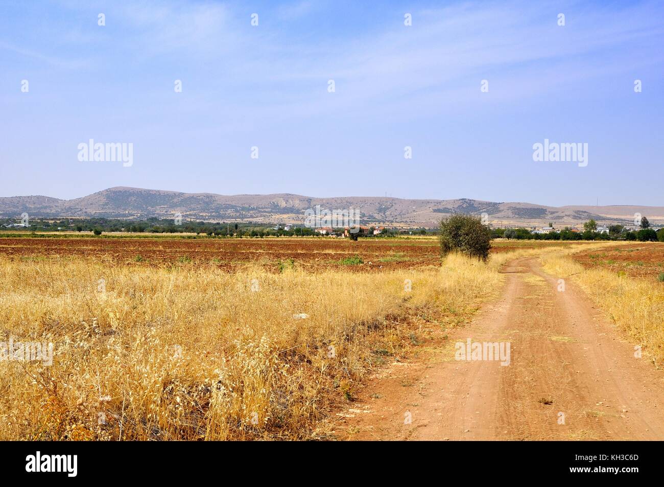 village and field Stock Photo