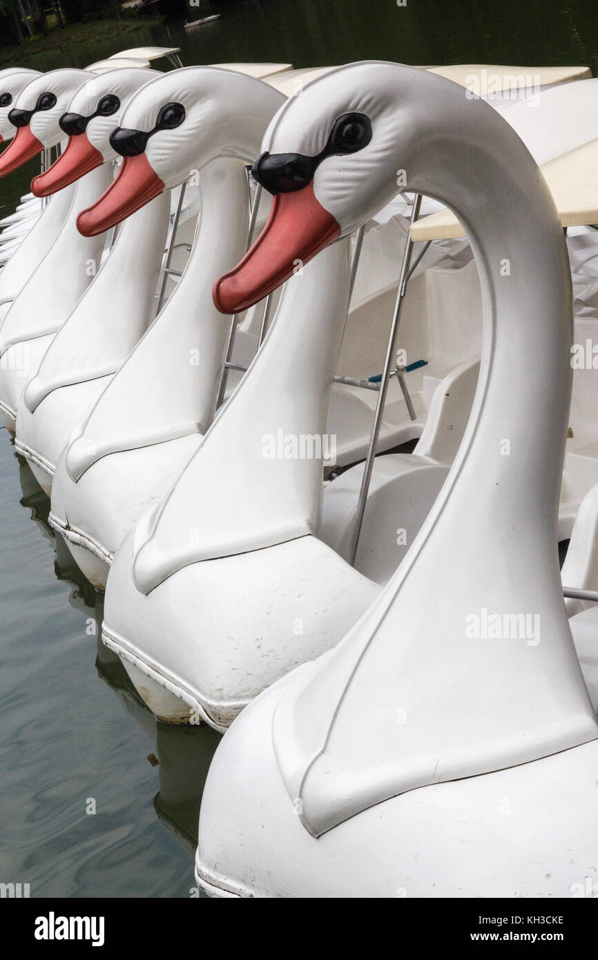 Swan pedalos on lake, Lumphini Park, Bangkok, Thailand Stock Photo