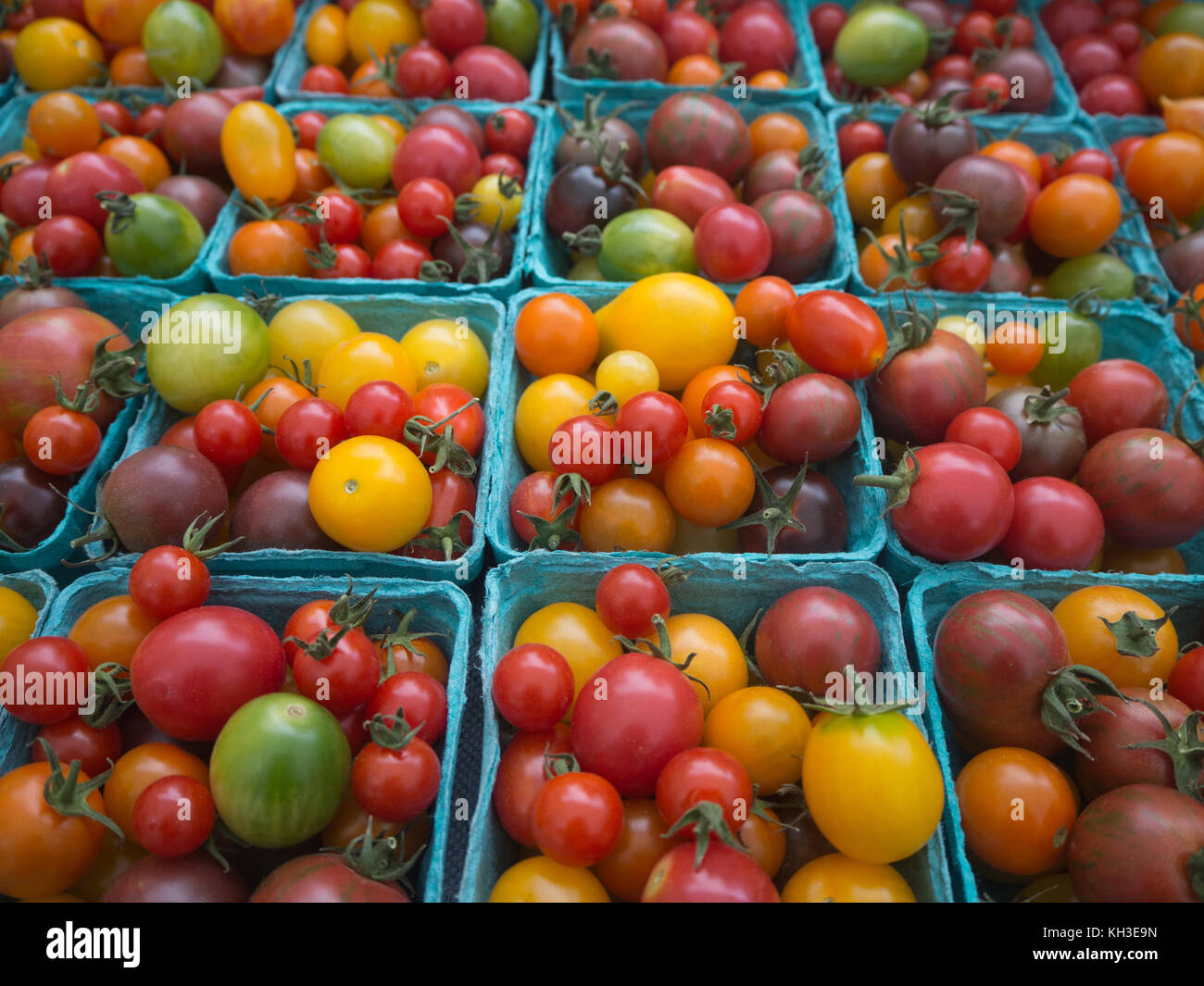 Tomatoes at the farmers market Stock Photo - Alamy