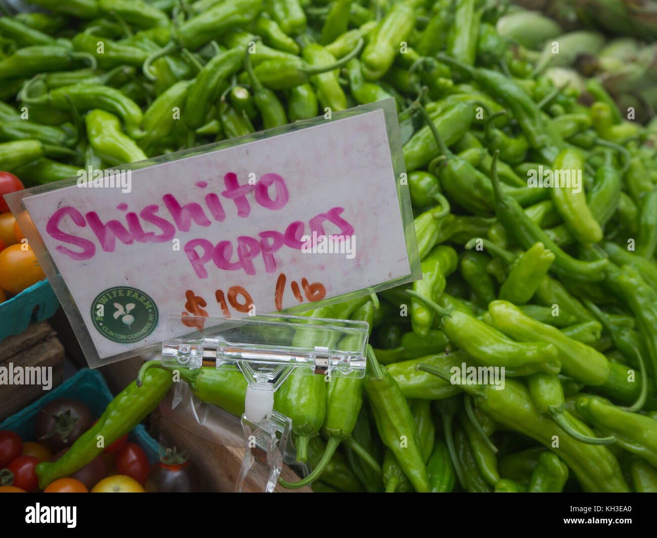 Shishito peppers hires stock photography and images Alamy
