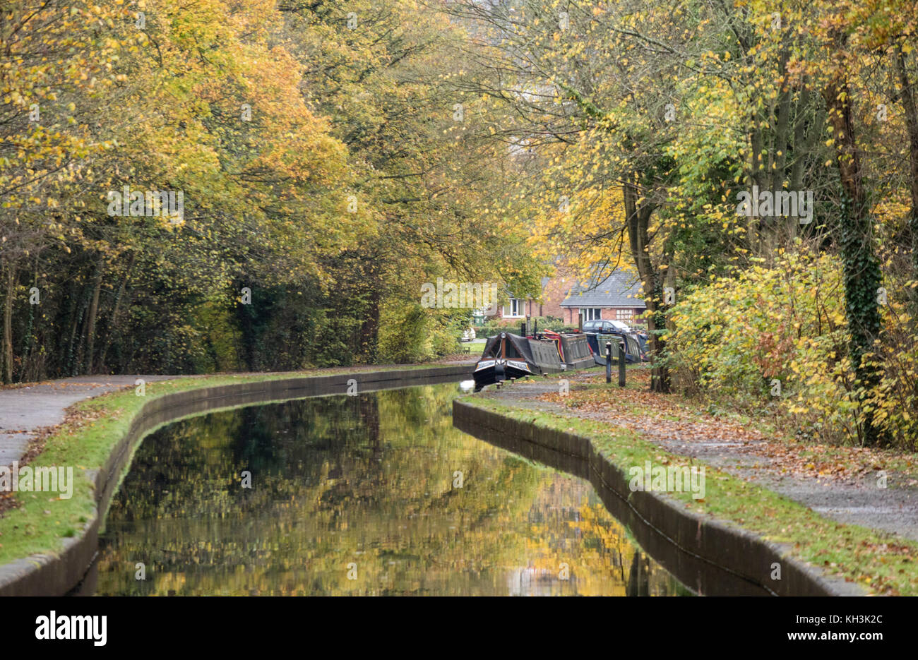 Autumn on the Llangollen Canal near Trevor, Denbighshire, North Wales, UK Stock Photo