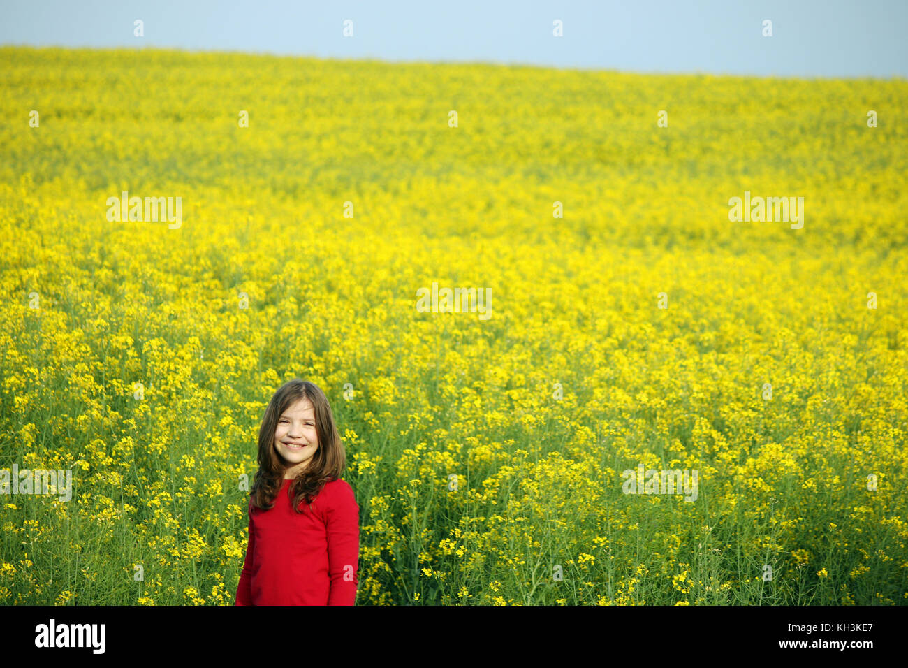 beautiful little girl on yellow field summer season Stock Photo - Alamy