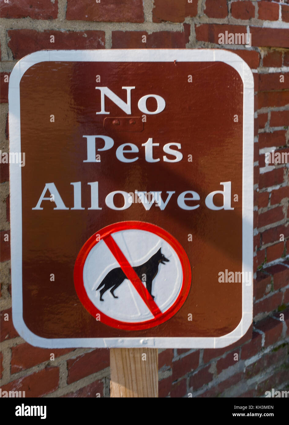 no pets allowed sign Virginia Stock Photo Alamy