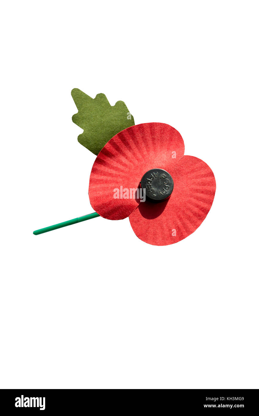 Royal British Legion poppy on white background, Surrey, England, United Kingdom Stock Photo
