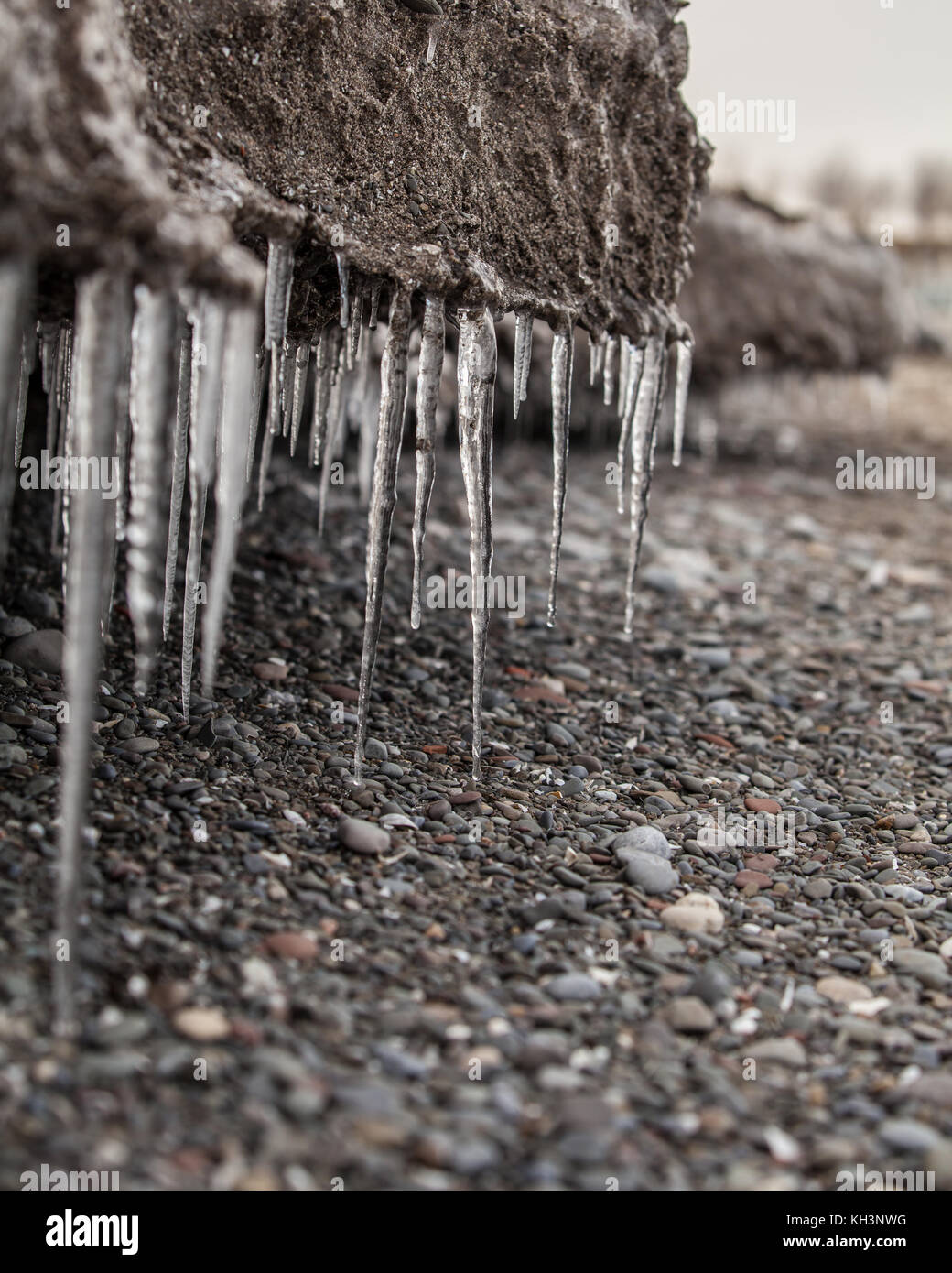 the icicles on the beach in winter Stock Photo