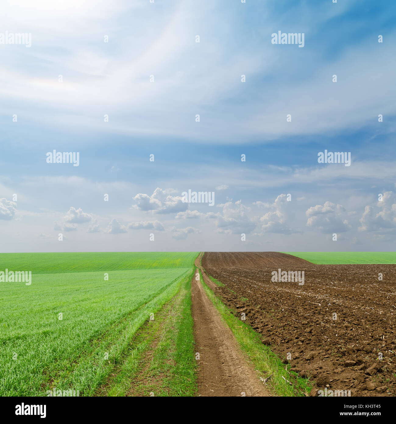 dirty road in green and black fields Stock Photo - Alamy
