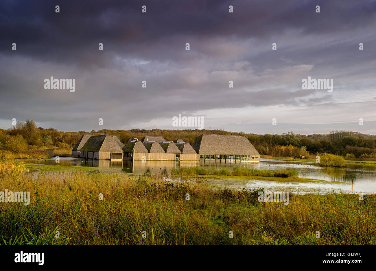 Lancashire Wildlife Trust s Brockholes Nature Reserve Preston 