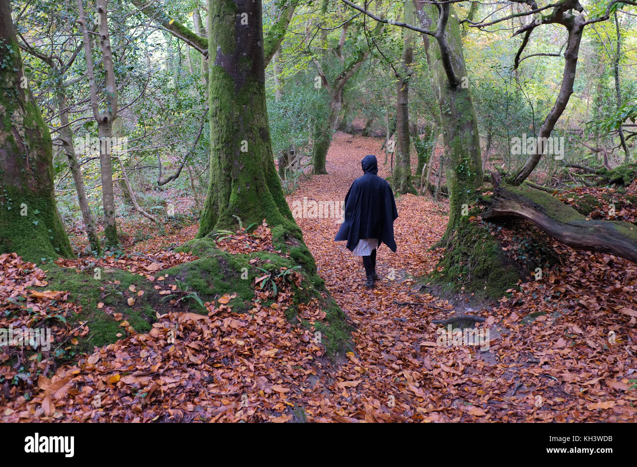 Woman walking through autumn leaves hi-res stock photography and images ...