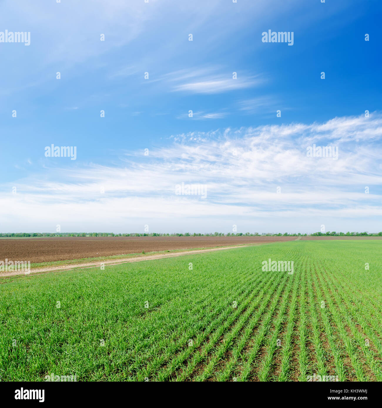 green and black field under cloudy sky Stock Photo - Alamy